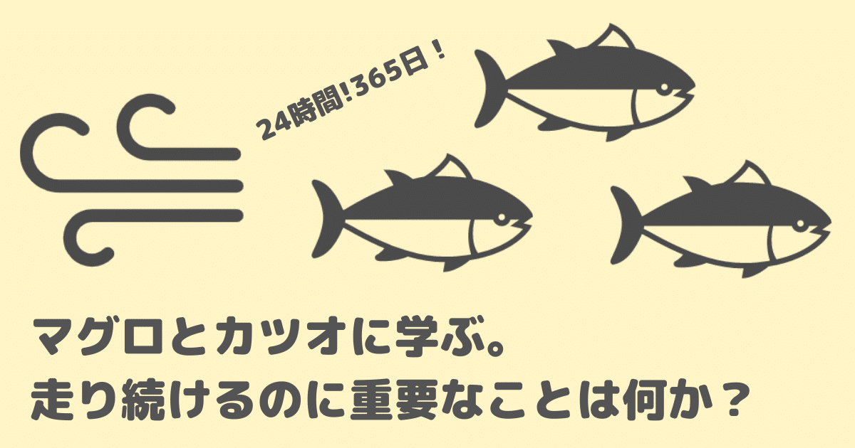 マグロとカツオに学ぶ 走り続けるのに重要なことは何か マグロとカツオに学ぶ 走り続けるのに重要なことは何か
